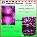 Extra Purple Cabbage cutting machinery / Purple Cabbage cutter / Vegetable cutting machine